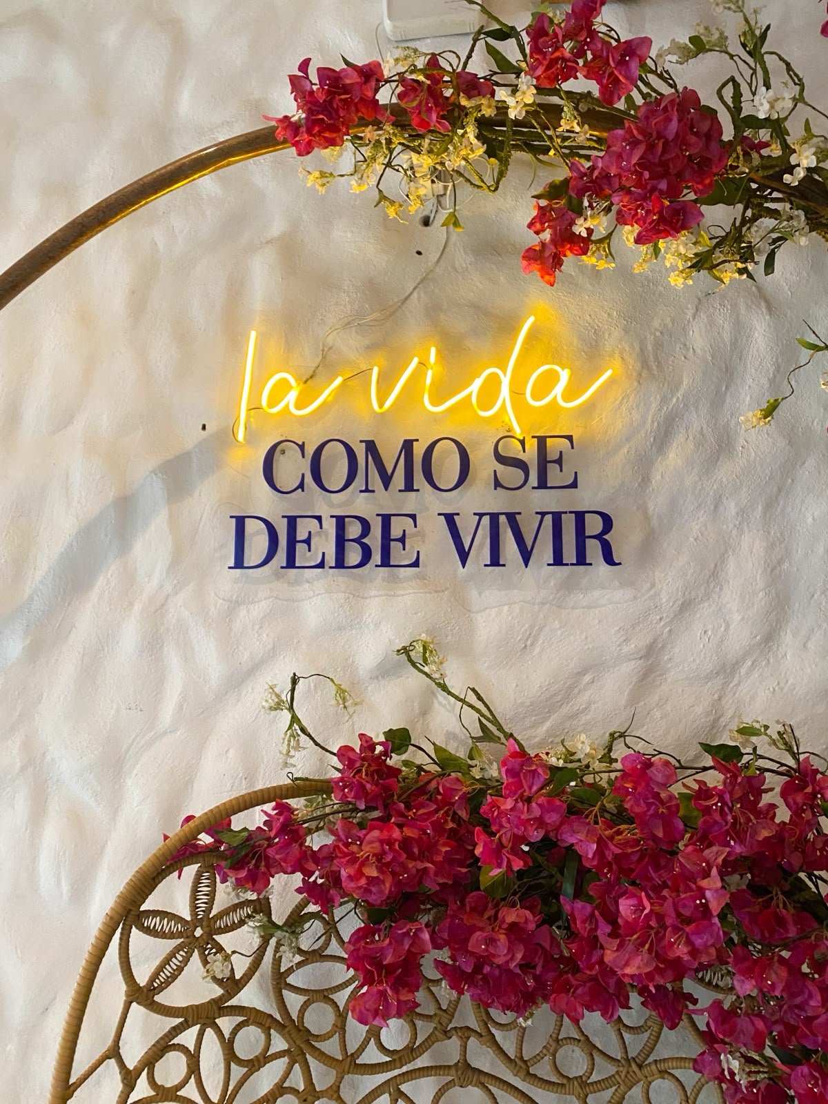 La vida
